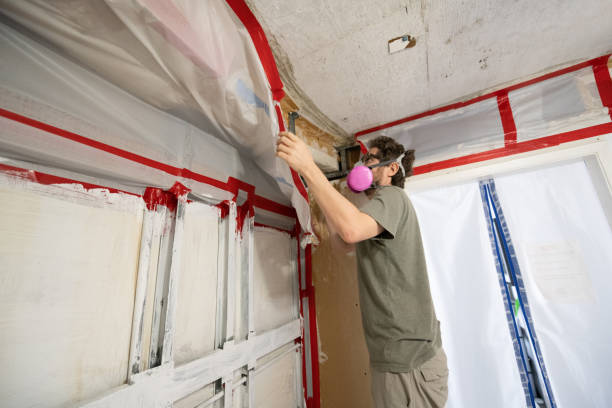 Environmental Consulting for Mold Prevention in Johnston, SC